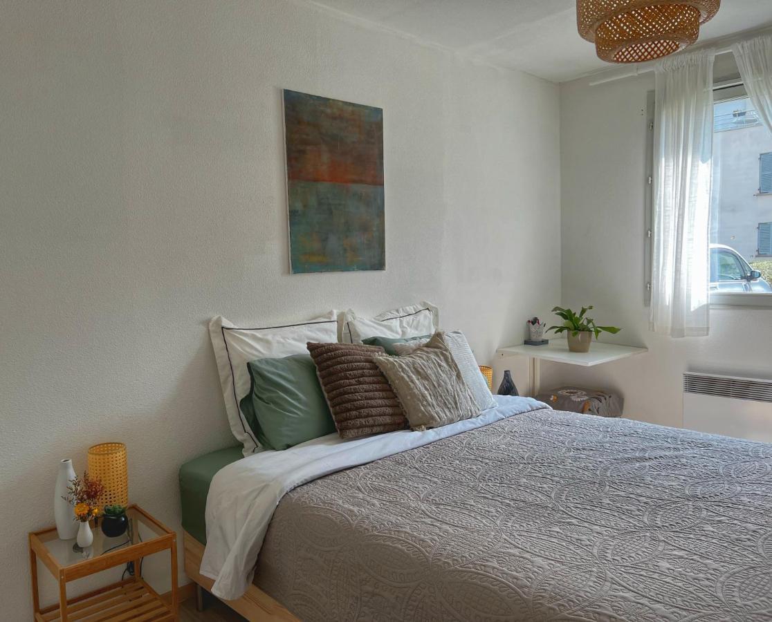 La Voulzie Appartement - Proche Centre Avec Parking Prive Provins Extérieur photo