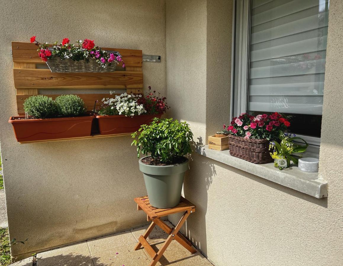 La Voulzie Appartement - Proche Centre Avec Parking Prive Provins Extérieur photo